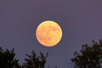 MPIX_250906_2603