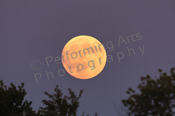 MPIX_250906_2603