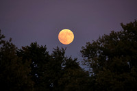 MPIX_250906_2602