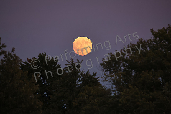 MPIX_250906_2602