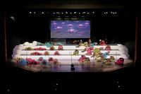 FSSI_260207_125438_09341