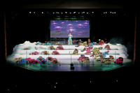 FSSI_260207_125438_09345