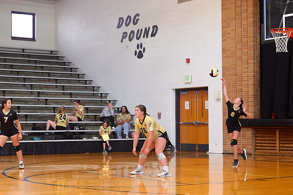 220921_HM7V_LapelMS_Volleyball_0007