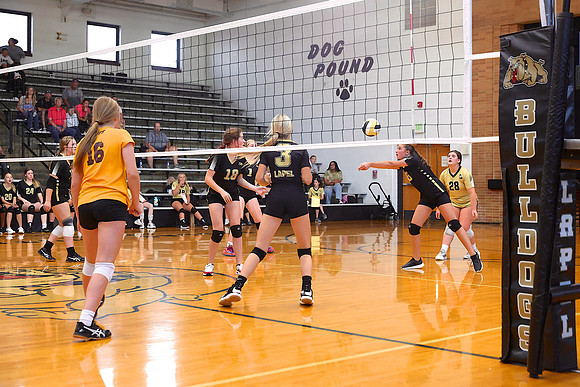 220921_HM7V_LapelMS_Volleyball_0016