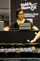 IP170401BP_7874
