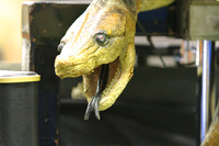 IP170401BP_1078