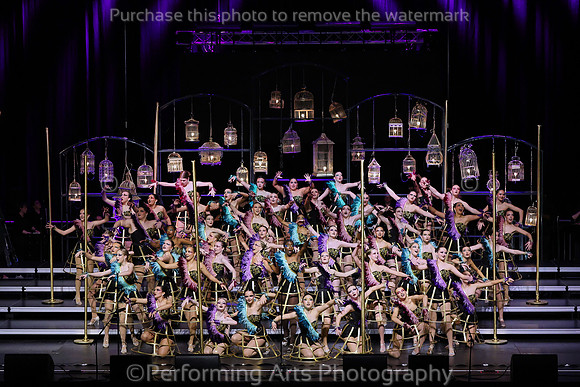 BBBS_250315_114607_03474