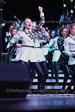 AVI_250308_133247_09770