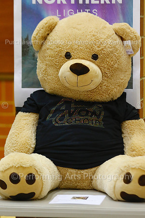 AVCH220128_0009