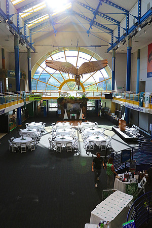 IMSU220819_0003