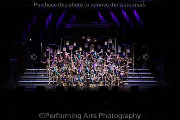 BBBS_250315_114606_03473